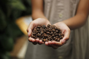Re-using your coffee: Making your own garden products