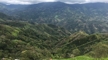 Huabal Lot #3 - Farm Level Story