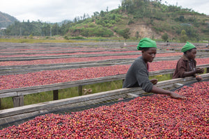 Gatare 625 - Farm Level Story