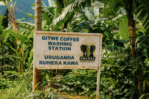 Gitwe - Farm Level Story