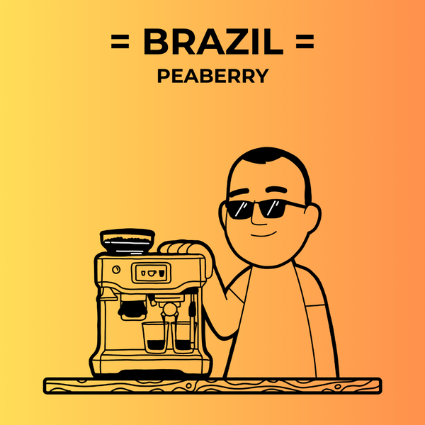 Brazil - Peaberry