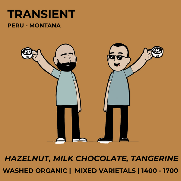 Transient
